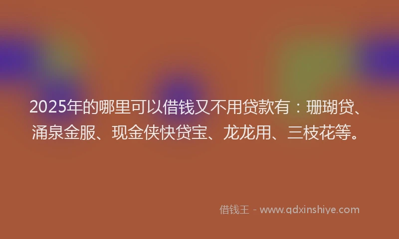 2025年的哪里可以借钱又不用贷款有：珊瑚贷、涌泉金服、现金侠快贷宝、龙龙用、三枝花等。