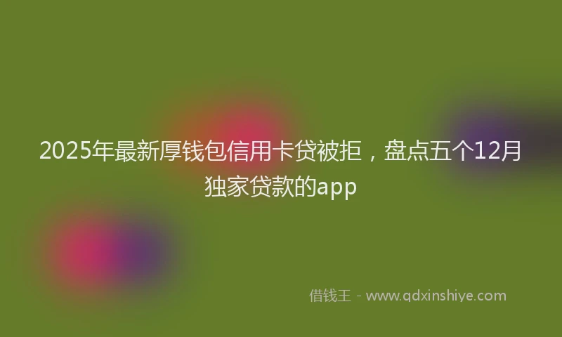 2025年最新厚钱包信用卡贷被拒，盘点五个12月独家贷款的app