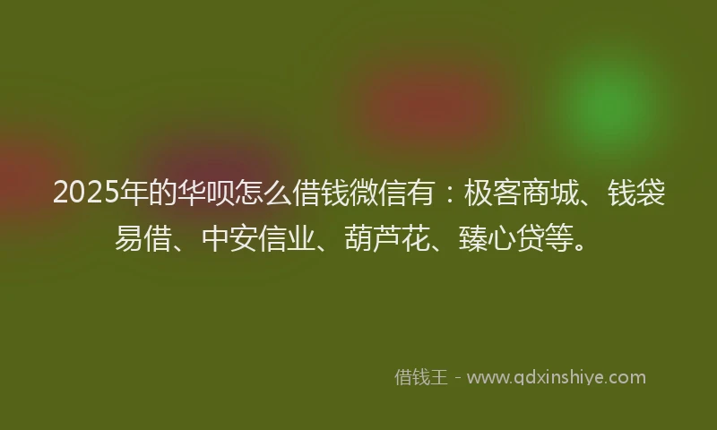 2025年的华呗怎么借钱微信有：极客商城、钱袋易借、中安信业、葫芦花、臻心贷等。