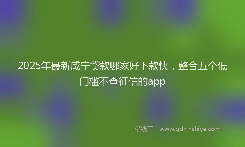 2025年最新咸宁贷款哪家好下款快，整合五个低门槛不查征信的app
