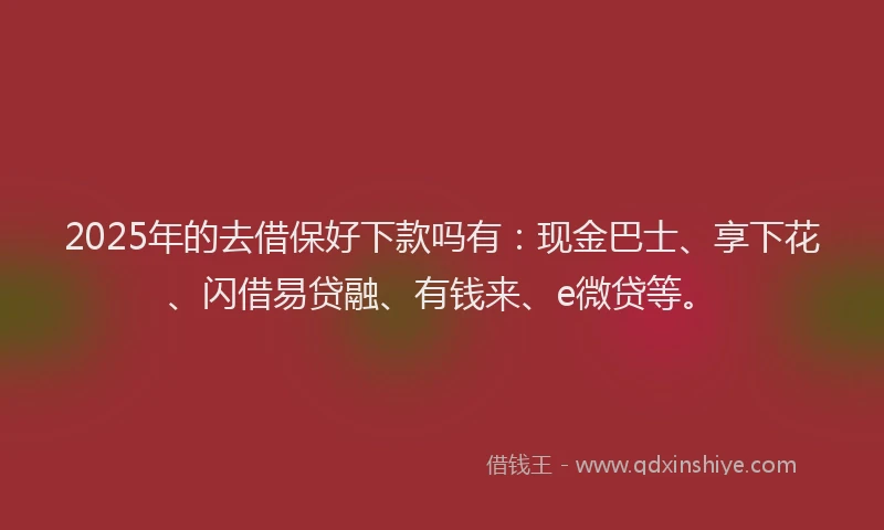 2025年的去借保好下款吗有：现金巴士、享下花、闪借易贷融、有钱来、e微贷等。