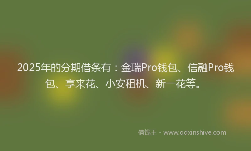 2025年的分期借条有：金瑞Pro钱包、信融Pro钱包、享来花、小安租机、新一花等。