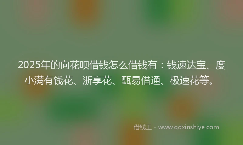 2025年的向花呗借钱怎么借钱有：钱速达宝、度小满有钱花、浙享花、甄易借通、极速花等。