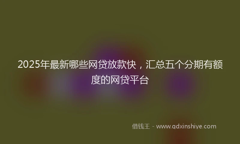 2025年最新哪些网贷放款快，汇总五个分期有额度的网贷平台