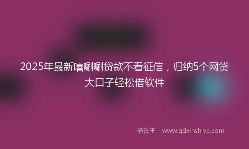 2025年最新嘻唰唰贷款不看征信，归纳5个网贷大口子轻松借软件