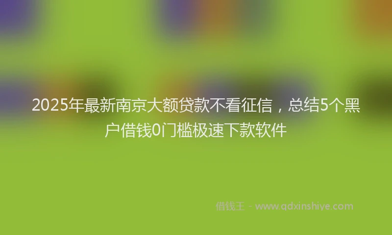 2025年最新南京大额贷款不看征信，总结5个黑户借钱0门槛极速下款软件