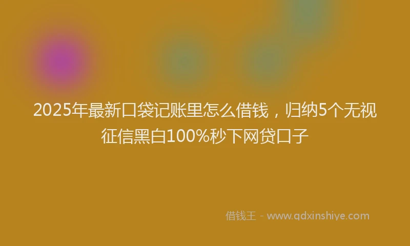 2025年最新口袋记账里怎么借钱，归纳5个无视征信黑白100%秒下网贷口子