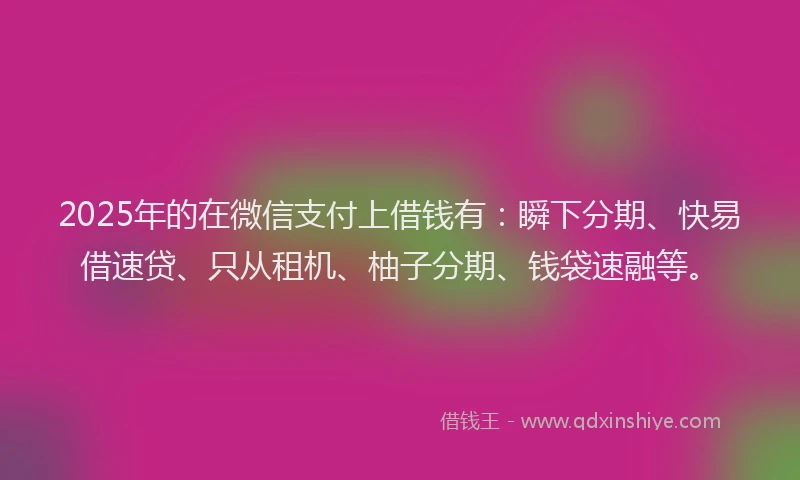 2025年的在微信支付上借钱有：瞬下分期、快易借速贷、只从租机、柚子分期、钱袋速融等。