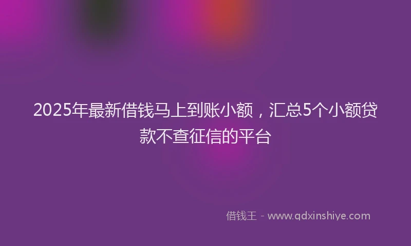 2025年最新借钱马上到账小额，汇总5个小额贷款不查征信的平台