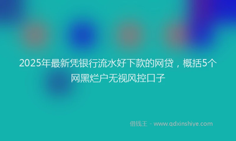 2025年最新凭银行流水好下款的网贷，概括5个网黑烂户无视风控口子