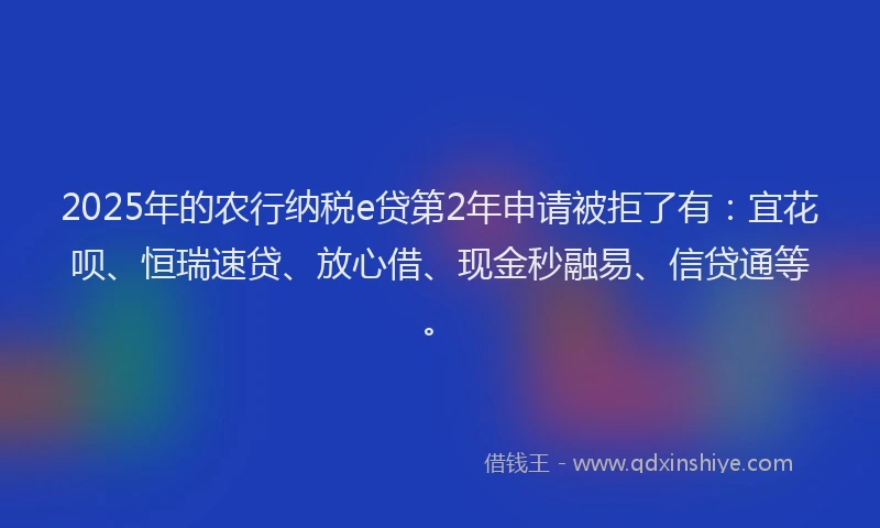 2025年的农行纳税e贷第2年申请被拒了有：宜花呗、恒瑞速贷、放心借、现金秒融易、信贷通等。