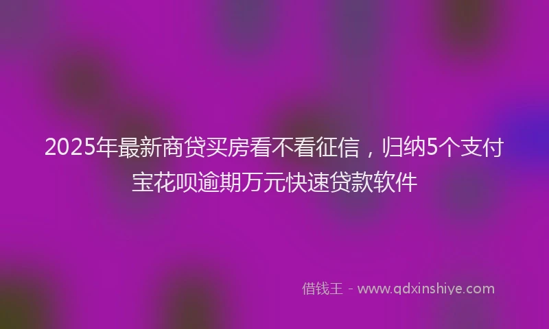 2025年最新商贷买房看不看征信，归纳5个支付宝花呗逾期万元快速贷款软件