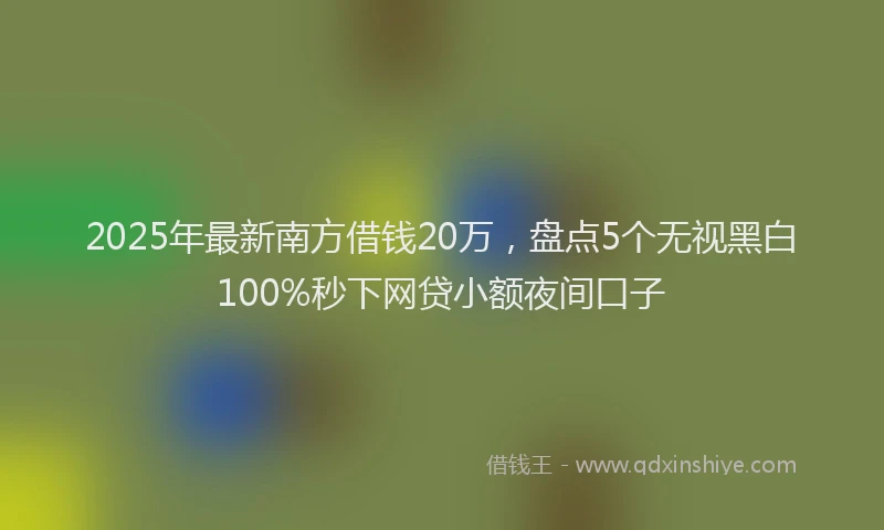 2025年最新南方借钱20万，盘点5个无视黑白100%秒下网贷小额夜间口子