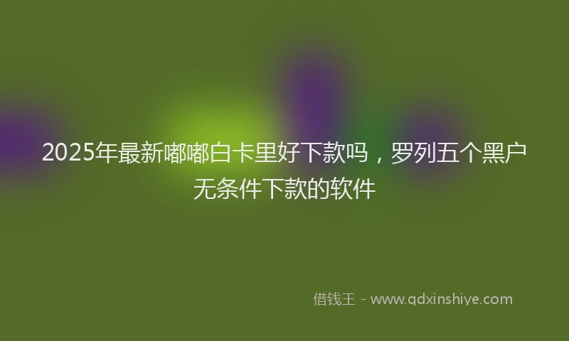 2025年最新嘟嘟白卡里好下款吗，罗列五个黑户无条件下款的软件