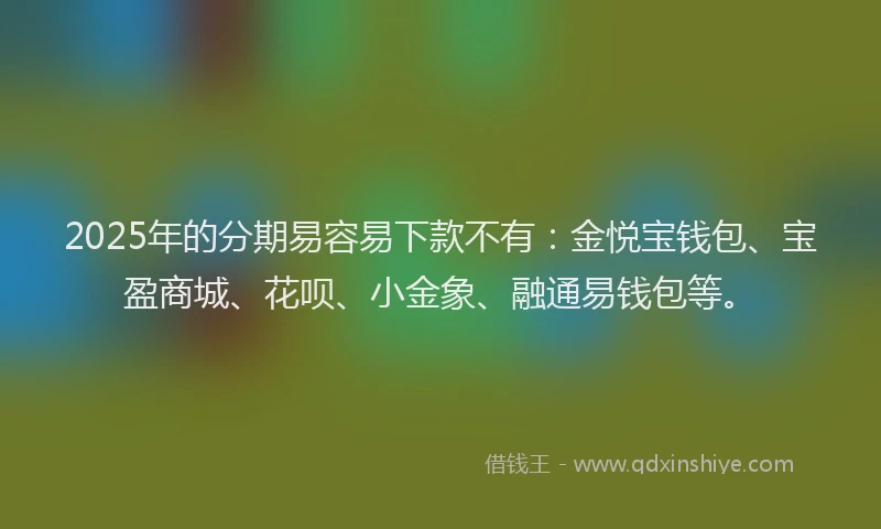 2025年的分期易容易下款不有：金悦宝钱包、宝盈商城、花呗、小金象、融通易钱包等。