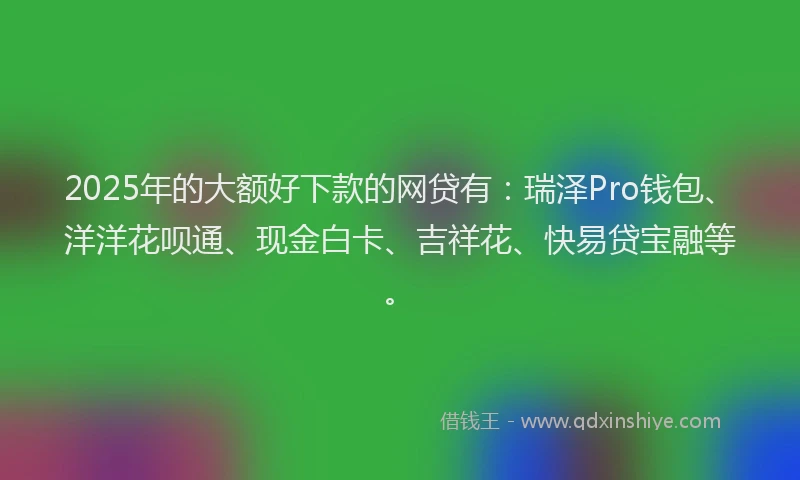 2025年的大额好下款的网贷有：瑞泽Pro钱包、洋洋花呗通、现金白卡、吉祥花、快易贷宝融等。