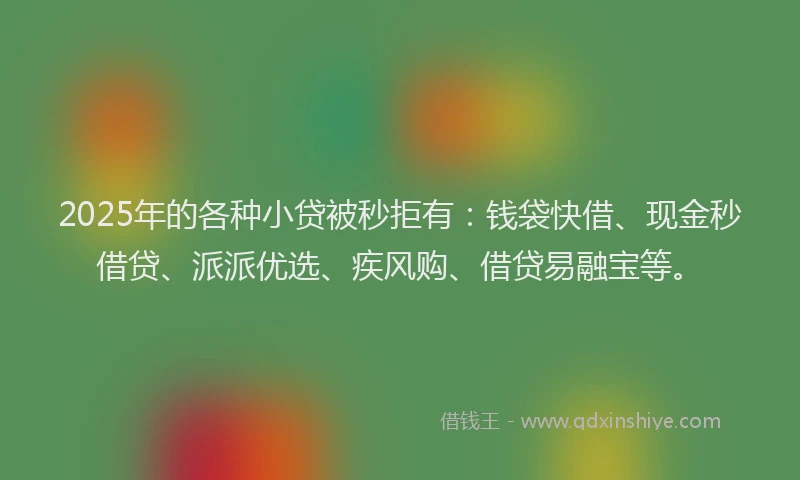 2025年的各种小贷被秒拒有：钱袋快借、现金秒借贷、派派优选、疾风购、借贷易融宝等。
