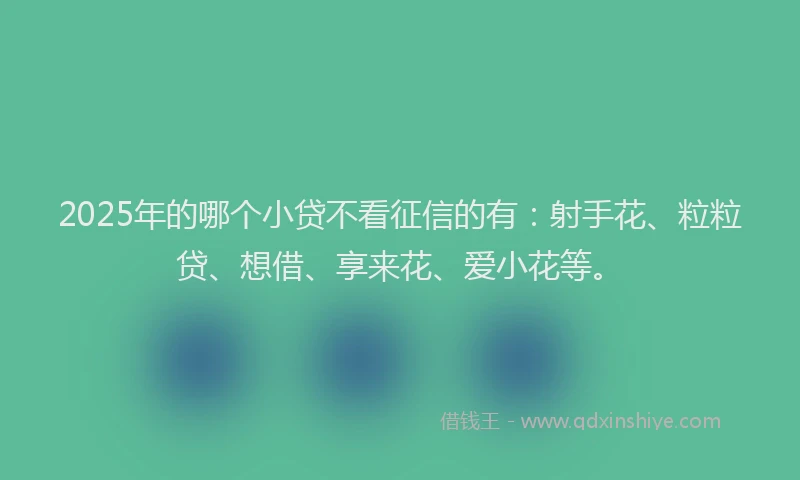 2025年的哪个小贷不看征信的有：射手花、粒粒贷、想借、享来花、爱小花等。