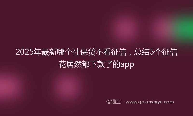 2025年最新哪个社保贷不看征信，总结5个征信花居然都下款了的app