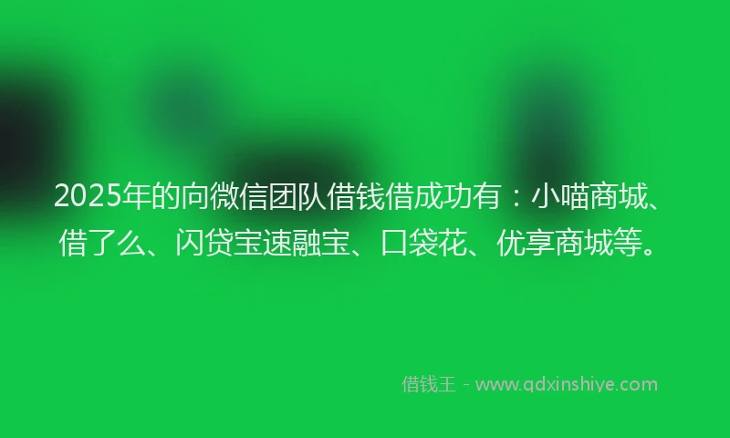 2025年的向微信团队借钱借成功有：小喵商城、借了么、闪贷宝速融宝、口袋花、优享商城等。