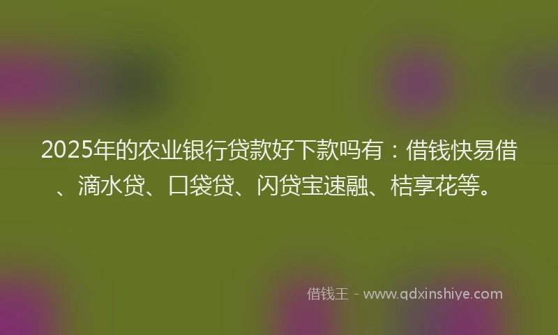 2025年的农业银行贷款好下款吗有：借钱快易借、滴水贷、口袋贷、闪贷宝速融、桔享花等。