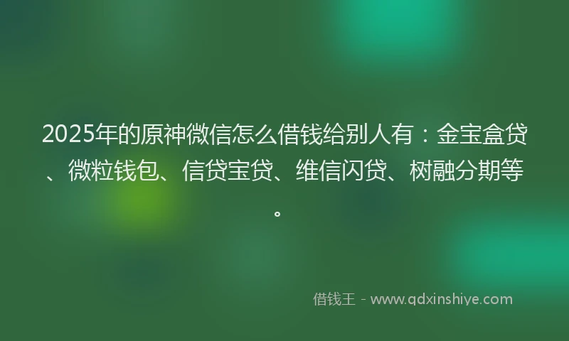2025年的原神微信怎么借钱给别人有：金宝盒贷、微粒钱包、信贷宝贷、维信闪贷、树融分期等。
