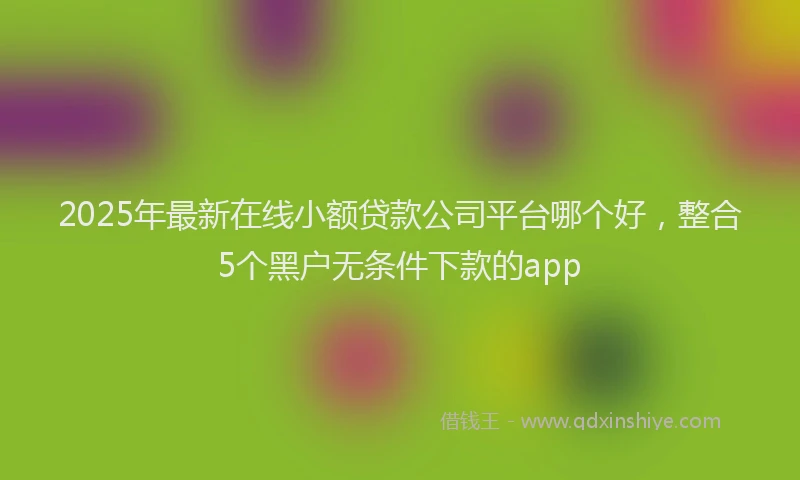 2025年最新在线小额贷款公司平台哪个好，整合5个黑户无条件下款的app