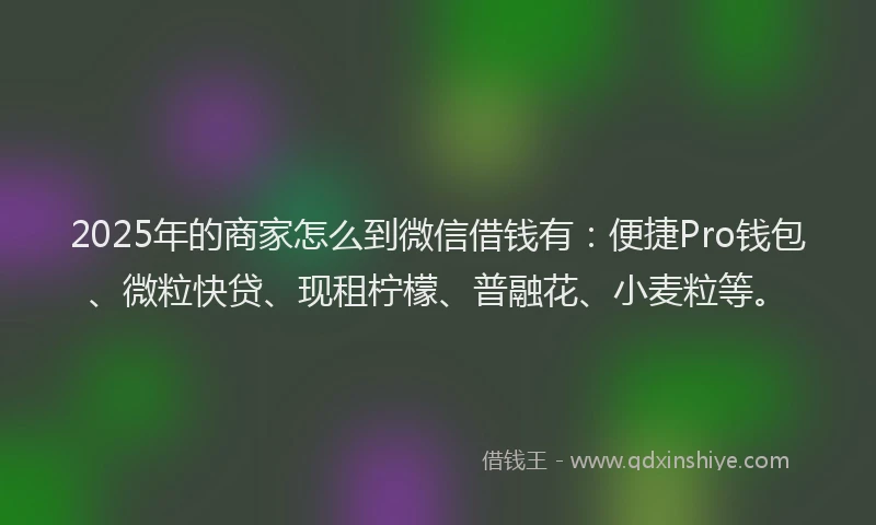 2025年的商家怎么到微信借钱有：便捷Pro钱包、微粒快贷、现租柠檬、普融花、小麦粒等。
