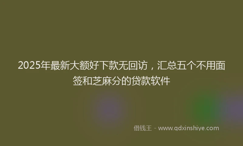 2025年最新大额好下款无回访，汇总五个不用面签和芝麻分的贷款软件