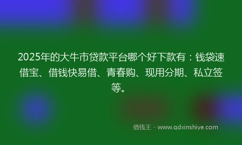 2025年的大牛市贷款平台哪个好下款有：钱袋速借宝、借钱快易借、青春购、现用分期、私立签等。