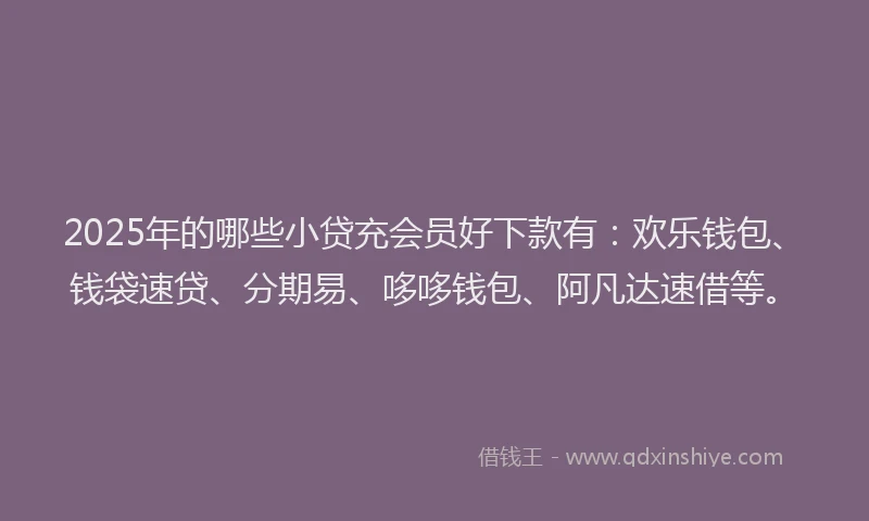 2025年的哪些小贷充会员好下款有：欢乐钱包、钱袋速贷、分期易、哆哆钱包、阿凡达速借等。