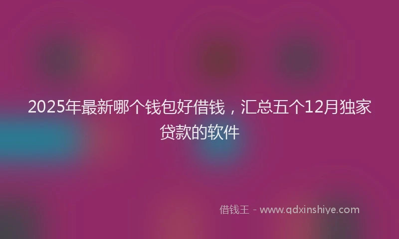 2025年最新哪个钱包好借钱，汇总五个12月独家贷款的软件