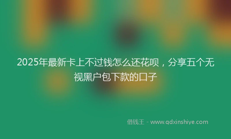 2025年最新卡上不过钱怎么还花呗，分享五个无视黑户包下款的口子