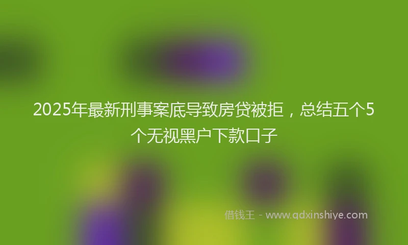 2025年最新刑事案底导致房贷被拒，总结五个5个无视黑户下款口子