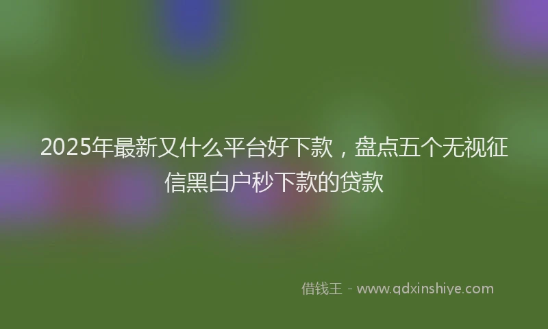 2025年最新又什么平台好下款，盘点五个无视征信黑白户秒下款的贷款