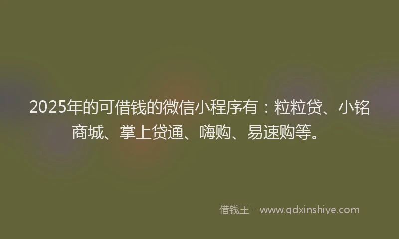 2025年的可借钱的微信小程序有：粒粒贷、小铭商城、掌上贷通、嗨购、易速购等。