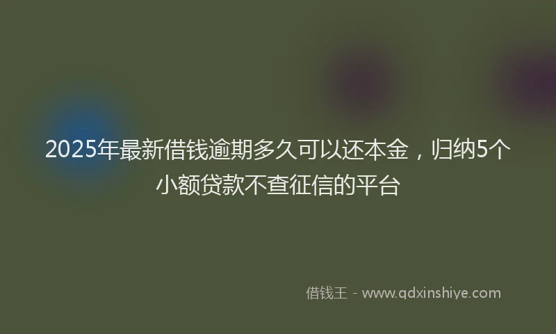 2025年最新借钱逾期多久可以还本金，归纳5个小额贷款不查征信的平台