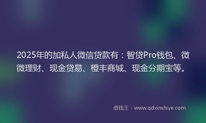 2025年的加私人微信贷款有：智贷Pro钱包、微微理财、现金贷易、橙丰商城、现金分期宝等。
