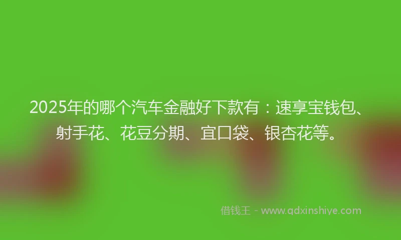 2025年的哪个汽车金融好下款有：速享宝钱包、射手花、花豆分期、宜口袋、银杏花等。