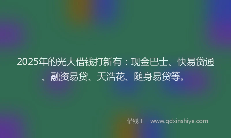 2025年的光大借钱打新有：现金巴士、快易贷通、融资易贷、天浩花、随身易贷等。