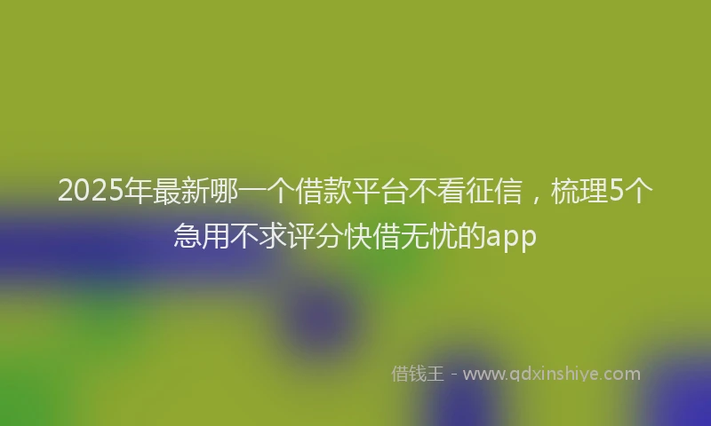 2025年最新哪一个借款平台不看征信，梳理5个急用不求评分快借无忧的app