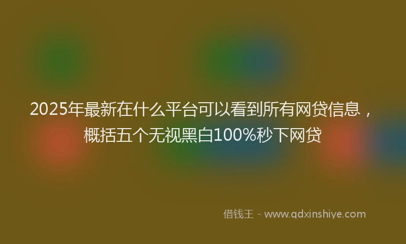 2025年最新在什么平台可以看到所有网贷信息，概括五个无视黑白100%秒下网贷