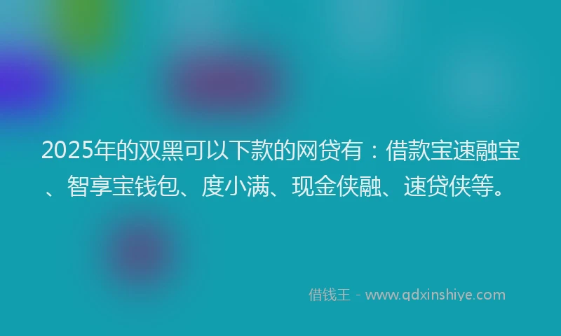 2025年的双黑可以下款的网贷有：借款宝速融宝、智享宝钱包、度小满、现金侠融、速贷侠等。