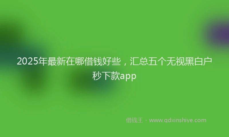 2025年最新在哪借钱好些，汇总五个无视黑白户秒下款app