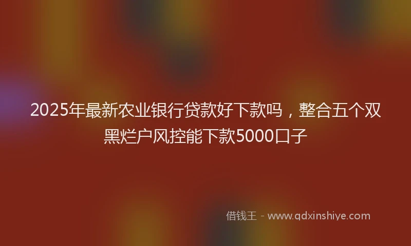 2025年最新农业银行贷款好下款吗，整合五个双黑烂户风控能下款5000口子