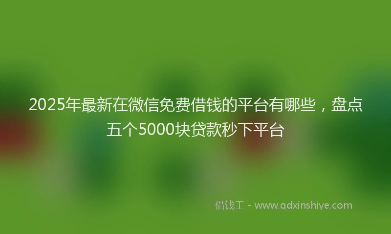 2025年最新在微信免费借钱的平台有哪些，盘点五个5000块贷款秒下平台