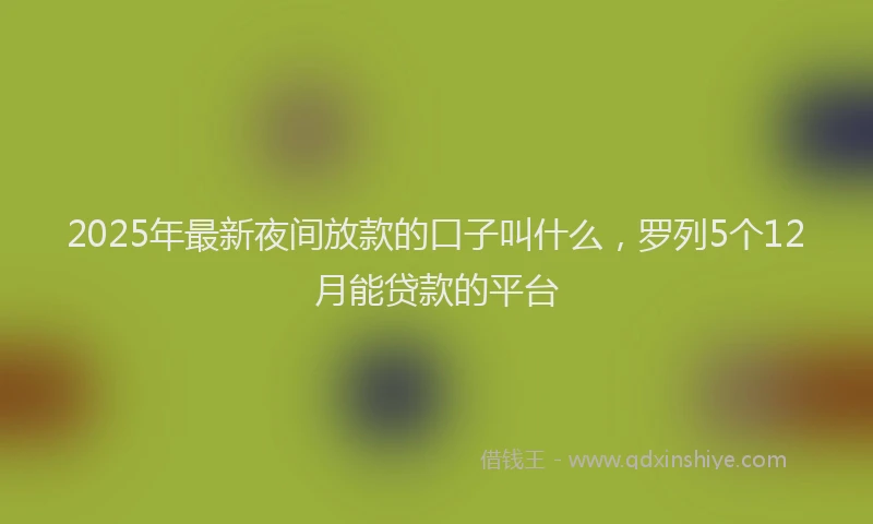 2025年最新夜间放款的口子叫什么，罗列5个12月能贷款的平台