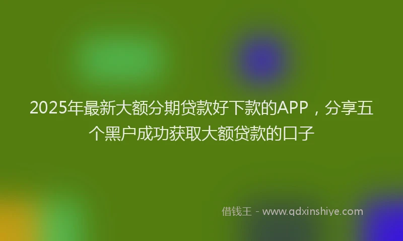 2025年最新大额分期贷款好下款的APP，分享五个黑户成功获取大额贷款的口子
