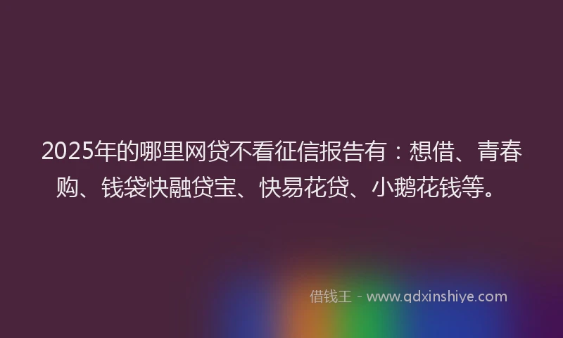 2025年的哪里网贷不看征信报告有：想借、青春购、钱袋快融贷宝、快易花贷、小鹅花钱等。