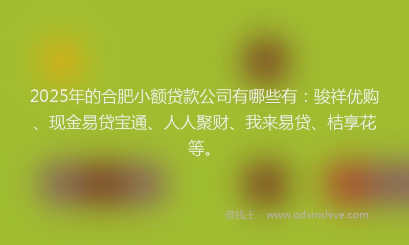 2025年的合肥小额贷款公司有哪些有：骏祥优购、现金易贷宝通、人人聚财、我来易贷、桔享花等。